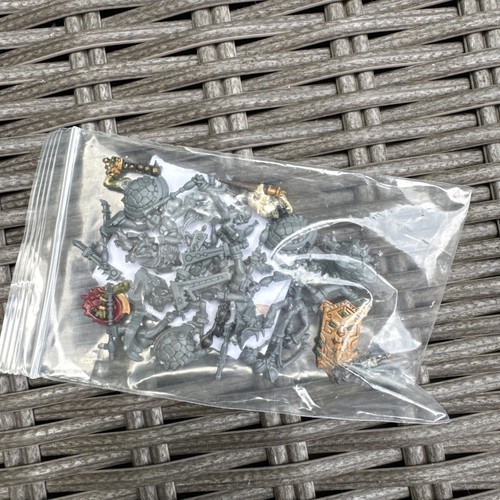 10 Hunters of Huanchi + 3 terrawing + cards Warhammer warcry Seraphon Painted - Picture 23 of 23