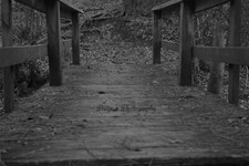 Digital Image Picture photo black and whitebridge from the ground photo by Paige