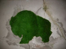  GREENITES.net. domain name - .NET DOMAIN NAME -  Green business name