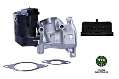 NGK/NTK AGR Ventil Metall Für CITROEN FIAT FORD LANCIA PEUGEOT 00-18 1618.31