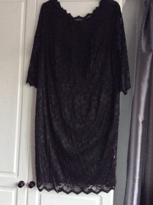 plus size clothing dorothy perkins