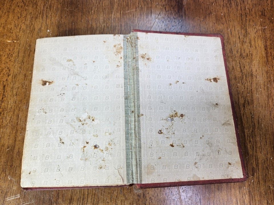 1912 Krag & Johnny Bear by Ernest Thompson Seton Vintage Hardcover | eBay