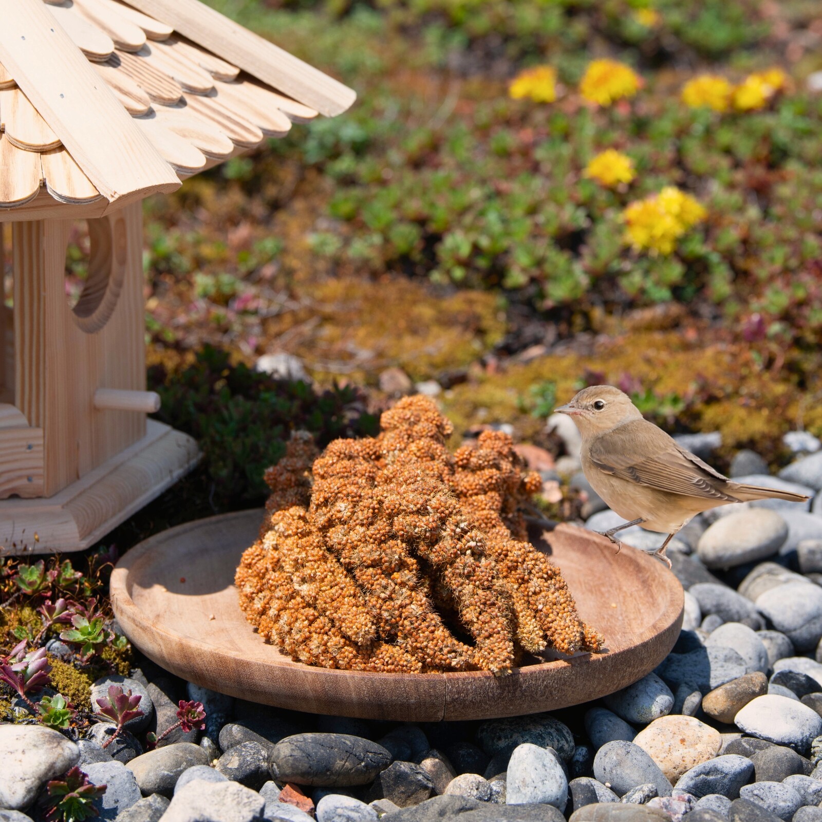 NASIDE Vogelkäfig Mit Rädern – 61 Cm Hoch, Eisen, Schwarz, Für Sittiche, Wellensittiche, Kanarienvögel