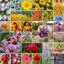  Mixed Seeds for Planting, 1 lb, 480,000+ Seeds 1 Pound Southeast Wildflower 84.12 per gallon