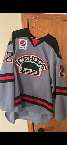 Rockford IceHogs Chris DiDomenico #22 Gray Autographed Hockey Jersey Original