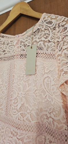 Coast Dress Size 16 In A Beautiful Blush Pink Colour. BNWT. - Picture 4 of 9