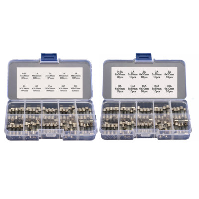 200pcs Quick Blow Glass Tube Fuses Assortment Kit 5x20mm 6x30mm 0.5A - 30A 250V