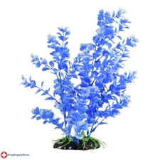 RA Blue Moon Bog Plant