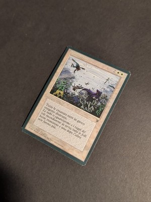 MTG Cleanse レジェンド　イタリア語版 再録禁止 Cleanse
