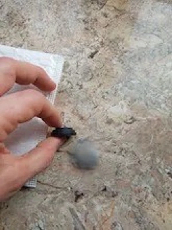 Protégez vos portières avec nos Coussinets Silicone Antichoc Installation Facile - Photo 4/4