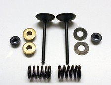 PSYCHIC INLET VALVE+SPRING KIT KAWASAKI KX450F 2006-2008