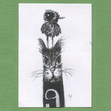 ACEO art card original pen and ink drawing pop surreal Ink Cat 39 Tim Olly