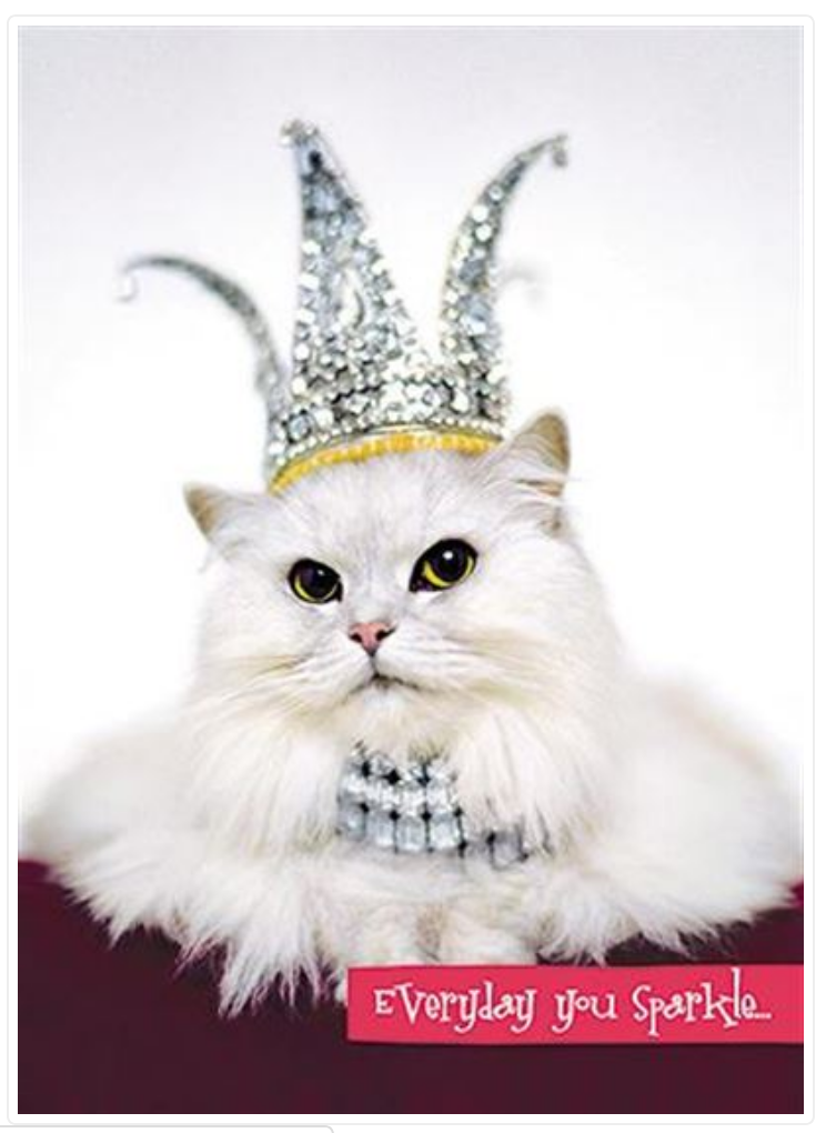 Cat & Tiara Funny Grandma Birthday Greeting Card Humorous Greetings Grandmother