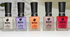 SECHE Premier Colour Nail Polish Lacquer Choose Your Color BUY 2 GET 1 FREE