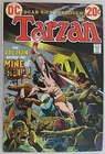SIGNED~JOE KUBERT~EDGAR RICE BURROUGHS'~TARZAN~DC COMICS #215~DEC 1972~VF