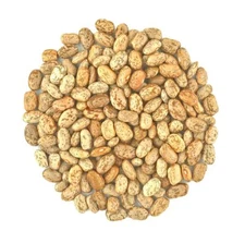 Organic dried Pinto Beans Fresh, Frijoles Pinto, non-GMO Vegan Bulk Grown in USA