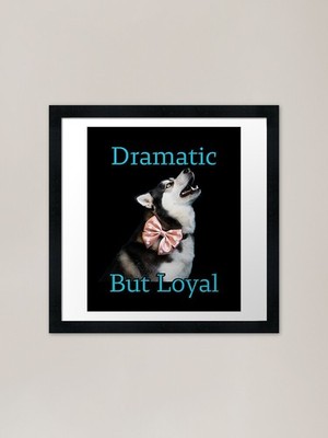 Dramatic but Loyal 	ndependent Hu Framed Wall Art Poster Canvas Print Picture