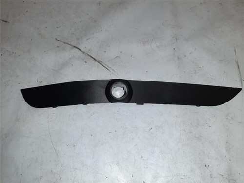 ZIERLEISTE STOßSTANGE VORNE BMW Serie X5 (E53)(2000->) BM11016S1