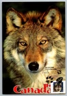 Canada 2000 Wildlife Wolf FDC Maxi Card w/Pictorial Cancel