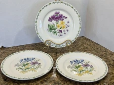 Thomson Pottery Floral Garden Dinner Plates Set of 3-10.5" Botanical Florals EC