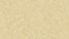 Makower 'Spraytime - Natural' 100% Cotton Fat Quarter, Half or Whole Metre