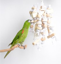 Parrot Toy Foraging Bird Bite Toy White Cockatiel Budgie Parakeet Cage Wood Toy