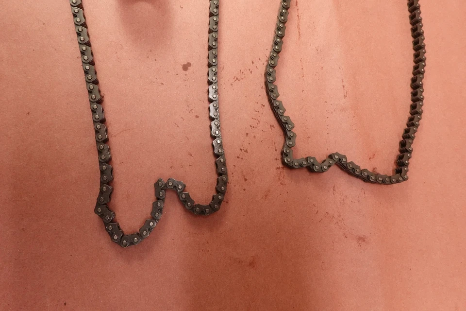 03-10 Honda ST1300 CADENAS DE LEVAS Y ENGRANAJE DE PIÑÓN Foto 4 de 4