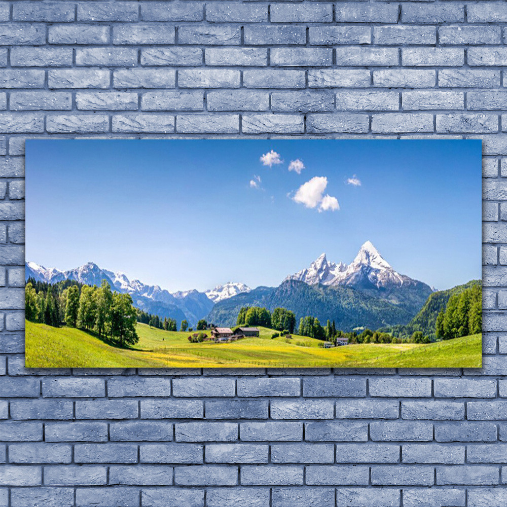 Tableau impression image sur Plexiglas 140x70 paysage arbres montagnes design