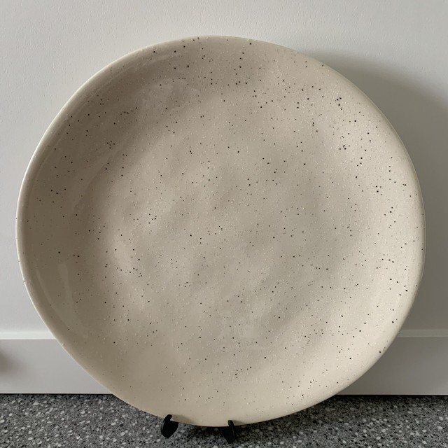 Pier 1 CLAYTON Speckled Cream DINNER Plate NWOT eBay