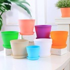 Plant Flower Pot Plastic 9 Colours 5 sizes Gloss Pots Planter Saucer Tray Decor