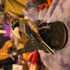 Country Bird Collection Grey Wagtail