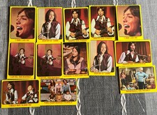 1971 Partridge Family Lot of 13