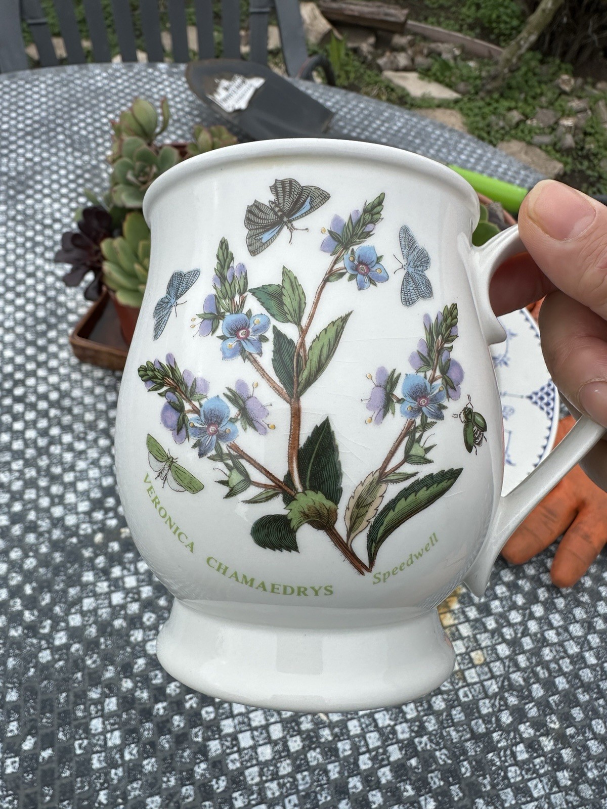 portmeirion botanic garden bristol mugs 4.5” Speedwell