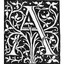 Albion Books