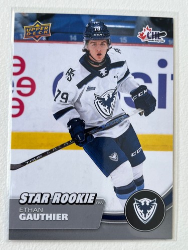2021-22 UD CHL Base Stars / Star Rookies #301 to #449 Pick From List !! - Picture 56 of 134