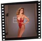 Sexy Jenilee Harrison Swimsuit Actress Harry Langdon Transparency w/rights 349E