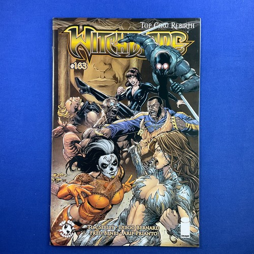Witchblade #163 Diego Bernard Variante Cover B Top Kuh Bild Comics 2013