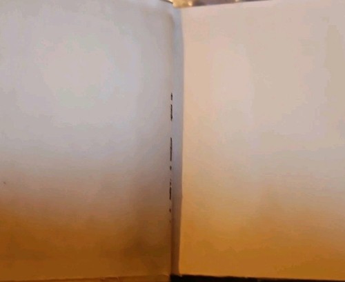 King of the Amazon 1933 Peter Davis 1st Ed & Print Macaulay Pub Acceptable Condi - Picture 8 of 18