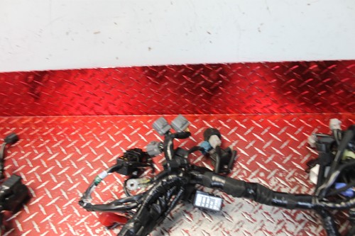 2020 - 2023 KAWASAKI Z900RS CAFE OEM ABS WIRING HARNESS SEE DESC Z9RS - Picture 6 of 14