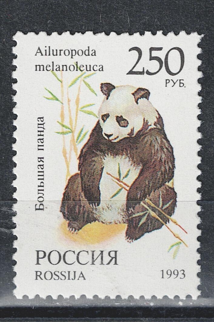 Russia Fauna Wild Animals Panda stamp 1993 MNH B-6 | eBay