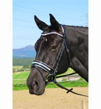 FSS German Curve U CRYSTAL BLING CLEAR Crank WHITE Comfort PATENT GLOSS Bridle