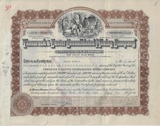 Tamarack & Custer Consolidated Mining Company, 1928