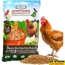 Dried Mealworms High Protein Treats Birds Chickens Reptiles Natural Food New