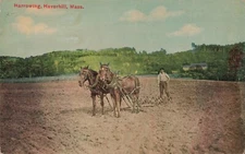 Postcard Harrowing Haverhill Mass. T617