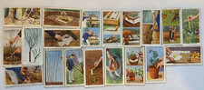 WILLS CIGARETTE CARDS: 19x GARDEN HINTS CARDS