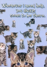 Designer Greetings Whenever I Need Help Lots of Kittens Thank You Card