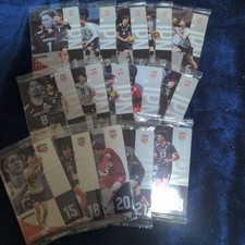 Japan Men's Volleyball National Team Photo Card Set 13 Pieces Sports Trading Car