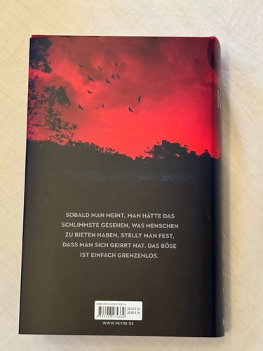 Stephen King kl. Sammlung: HOLLY Wolfsmond Der Turm LOVE Schlaflos-Insomnia - Bild 13 von 22