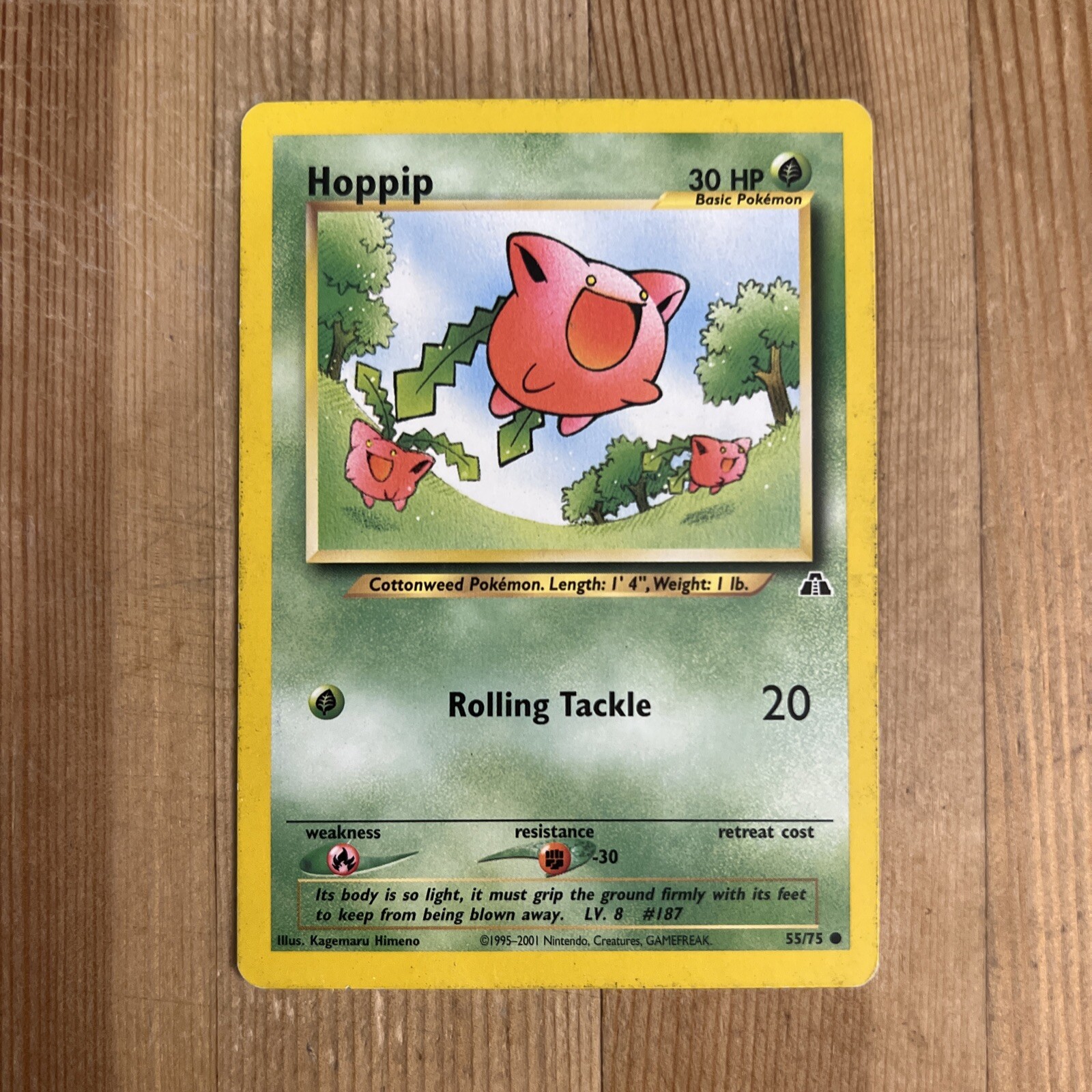 Hoppip