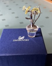 Swarovski Crystal Memories Narcissus Rhodium Figurine . Mint Con